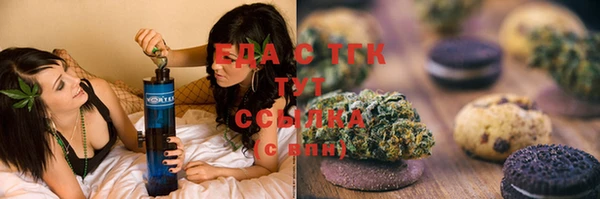 шишки Верхний Тагил