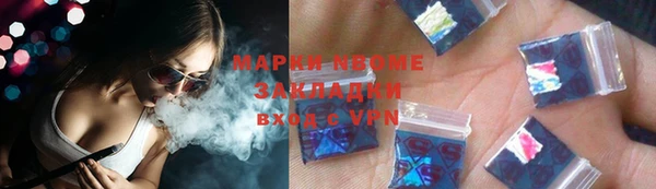 шишки Верхний Тагил