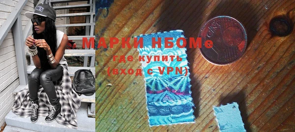 шишки Верхний Тагил
