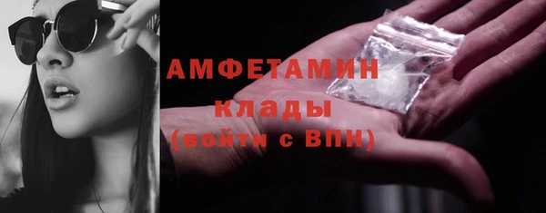 шишки Верхний Тагил