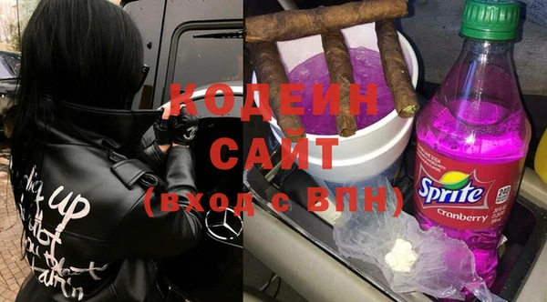 шишки Верхний Тагил