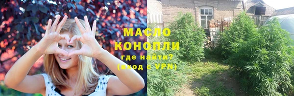 шишки Верхний Тагил