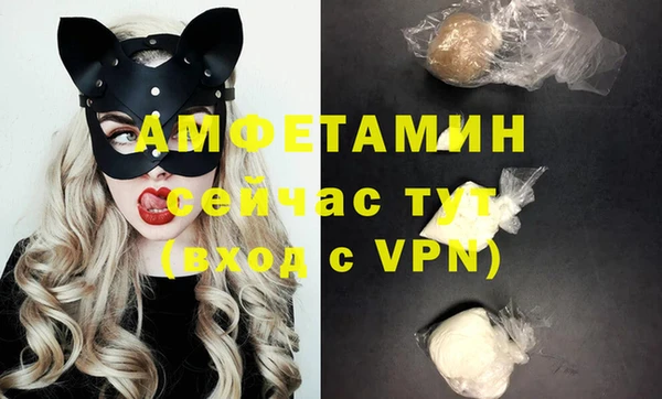 шишки Верхний Тагил